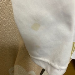 MARCE L O 12の画像