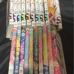 少女漫画 83冊 小説1冊の画像