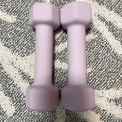 ダンベル　1kg×2の画像