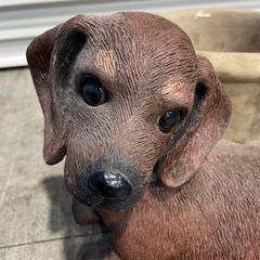 鉢植え 樹脂製 犬 植木鉢の画像
