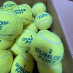 DUNLOP テニスボール　40球の画像