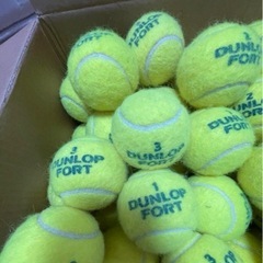 DUNLOP テニスボール　40球の画像