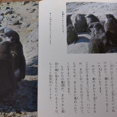 科学のアルバムの画像