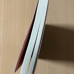 戦国武将の大誤解（彩図社） 丸茂潤吉／著の画像
