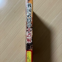 戦国武将の大誤解（彩図社） 丸茂潤吉／著の画像