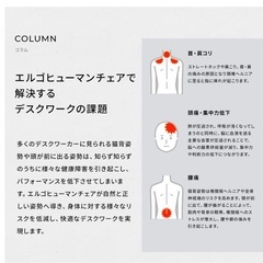 Ergohuman Pro2 Highの画像