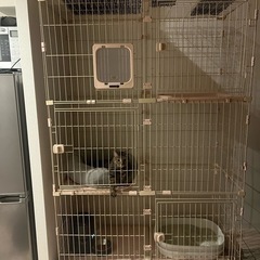 猫　ゲージ　美品　3段の画像
