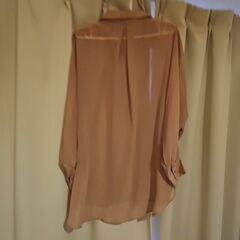 シースルーブラウスの画像