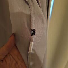 シースルーブラウスの画像