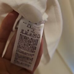 Tシャツの画像