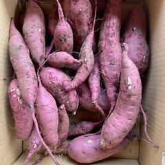 ⑤美味しいさつまいも仕上がりました！5キロ入りサービスで多めに入れさせていただきますの画像