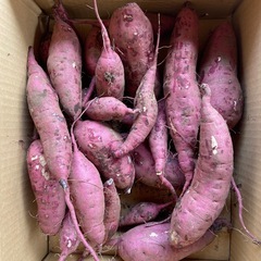 ⑤美味しいさつまいも仕上がりました！5キロ入りサービスで多めに入れさせていただきますの画像