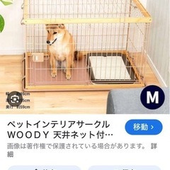 ゲージの画像