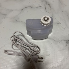 スチーマー ナノケア / W温冷エステ EH-SA99の画像