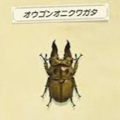 ババオウゴンオニクワガタを飼いたいです！
