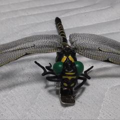 天敵で虫よけ　オニヤンマの画像