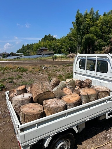 薪　原木　玉切り　木