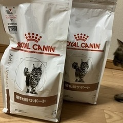ロイヤルカナン 消化器サポート(非可溶性)の画像
