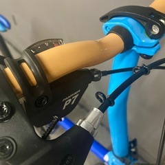 折りたたみ自転車 PANTHER 20インチ 7段変速 軽量アルミフレームの画像
