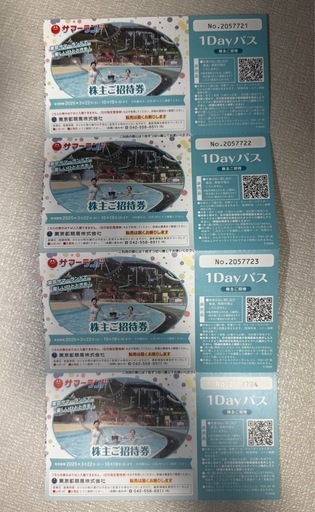 東京サマーランド　1day 招待券　４枚