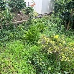 草刈り草むしり※綺麗になり過ぎて驚かないで下さい！