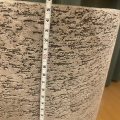 観葉植物　10号鉢の画像