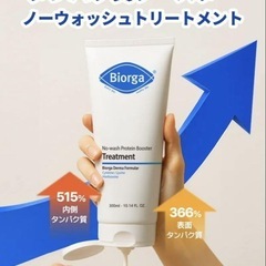 Biorga ノーウォッシュ プロテイン ブースター トリートメント 300mlの画像