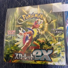 ポケモン好きな方
の画像