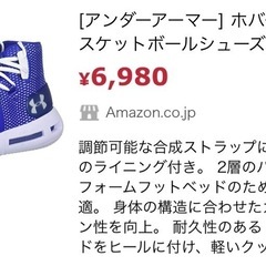 【未使用品】25cmアンダーアーマー・ホバー ハヴォックの画像
