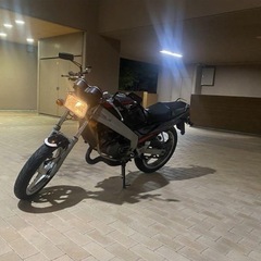 TZR125 実働の画像