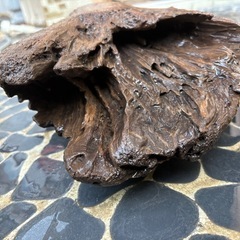 大型天然流木(煮沸・アク抜き)の画像