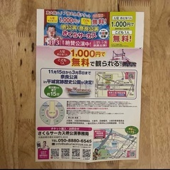 【お取引中】さくらサーカスA席チケット(子供無料) 堺公演・奈良公演の画像