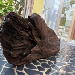大型天然流木(煮沸・アク抜き)の画像