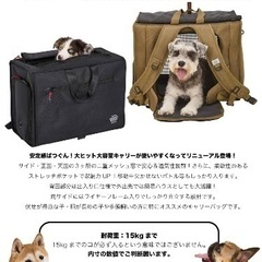 美品　マンダリンブラザーズ　キャリー　リュック　大きめの画像