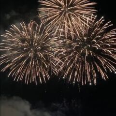 レディース 冠婚葬祭 フォーマル サイズXS又はS 5号サ…