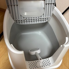 大型猫用！猫トイレ！美品の画像