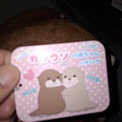 くったりカワウソの赤ちゃんハグハグ　ぬいぐるみ　濃茶(購入者確定)の画像