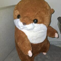 くったりカワウソの赤ちゃんハグハグ　ぬいぐるみ　濃茶(購入者確定)の画像