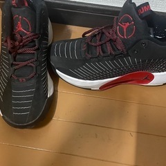 ジョーダン ジャンプマン 2021 バスケットボールシューズの画像
