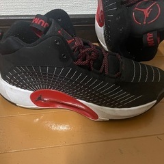 ジョーダン ジャンプマン 2021 バスケットボールシューズの画像