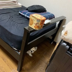 シングルベッドの画像