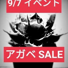 9/7(日)イベント！出品アガベ参考写真！以下、詳細ご確認…