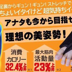 【used】足裏アーチサポート＆筋膜ストレッチの画像