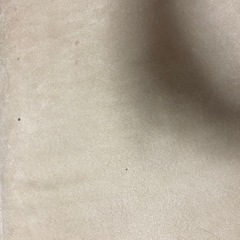 L字ソファの画像