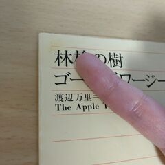 『林檎の樹』ゴールズワージー　新潮文庫の画像