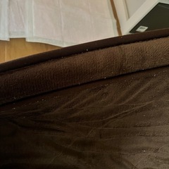 カーペットの画像