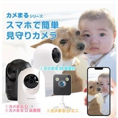 見守りカメラの画像