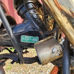 HONDA モンキー z50j ５速　ボアアップの画像