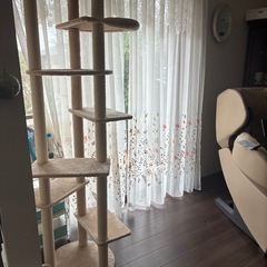キャットタワーの画像