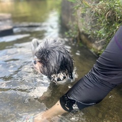 🐾犬友🐶🐾募集🫶だワン(∪・ω・)